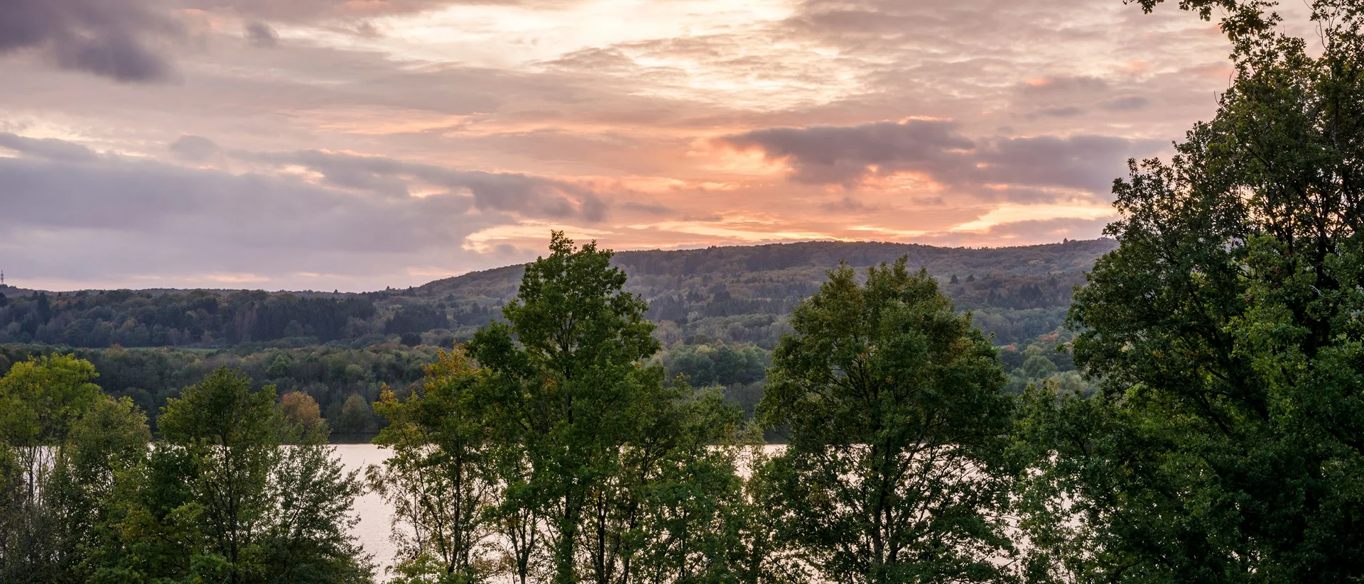 Sonnenuntergang über einem See mit Bäumen im Vordergrund