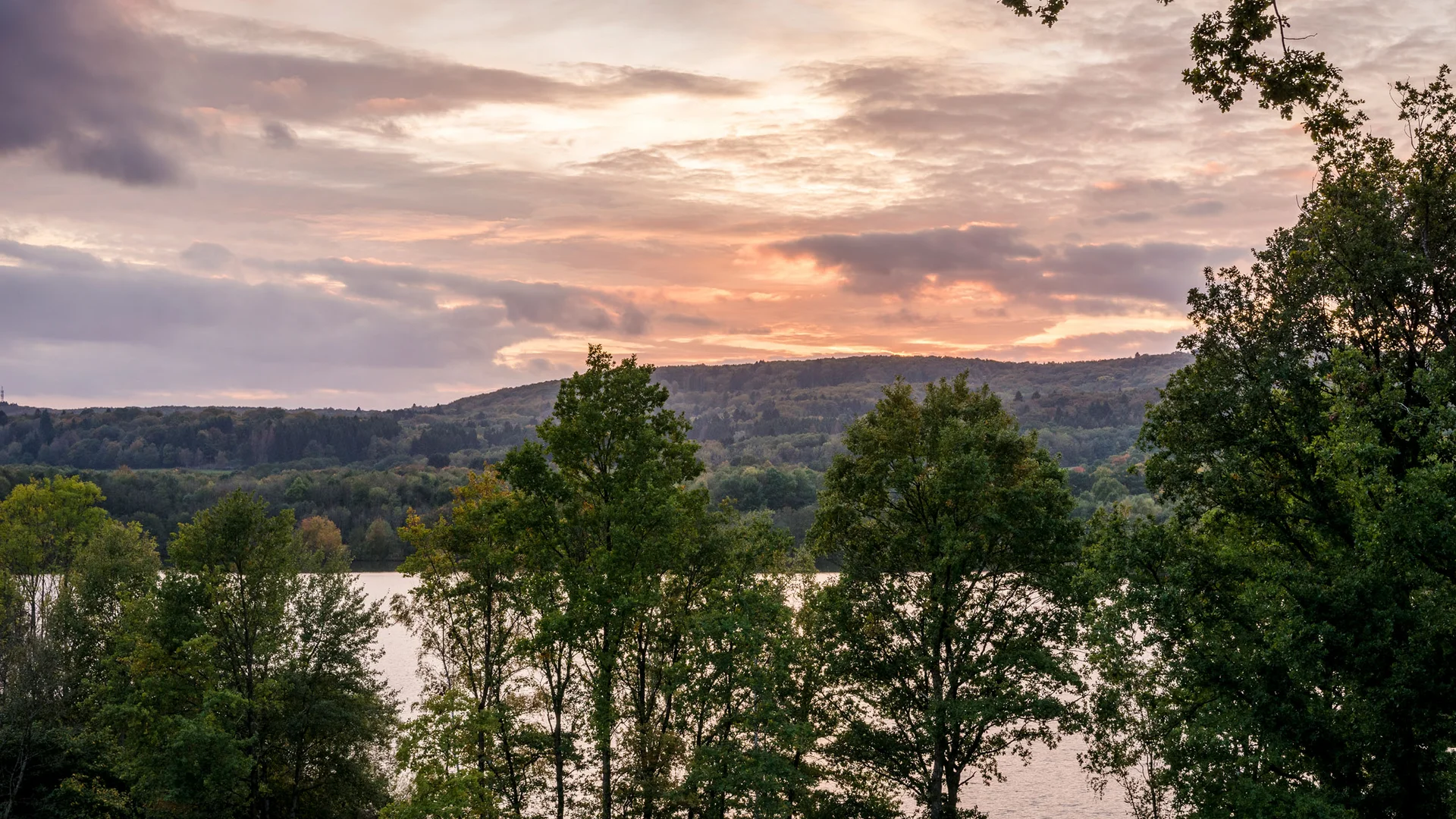 Sonnenuntergang über einem See mit Bäumen im Vordergrund