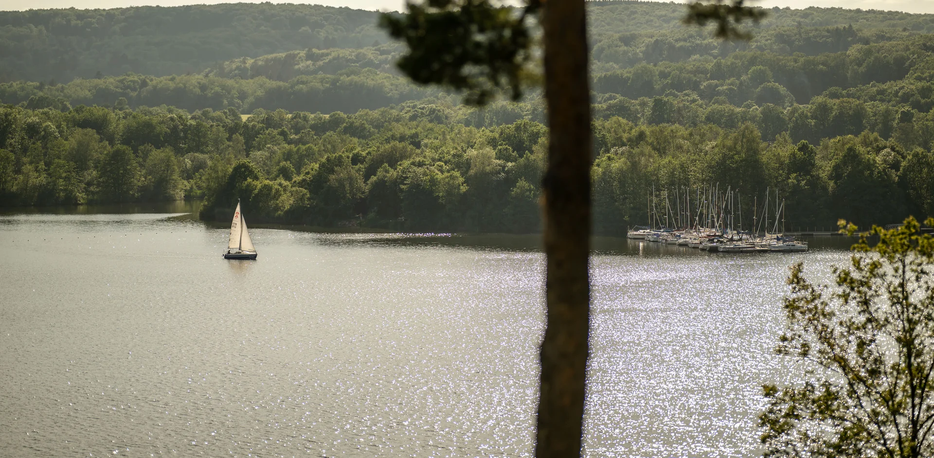 Segelboot auf funkelndem See mit Wald und Bootssteg im Hintergrund