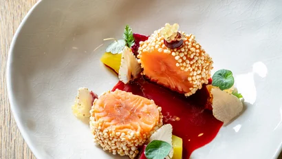 Gourmetgericht mit Lachs, roten und gelben Beilagen und grünen Blättern auf weißem Teller